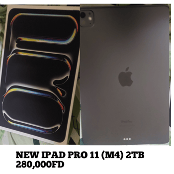 iPad Pro 11 (M4) - Superbe et Léger!