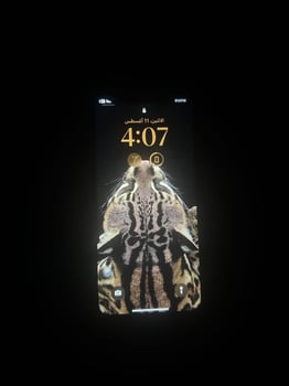 iPhone XR 128 Go en vente