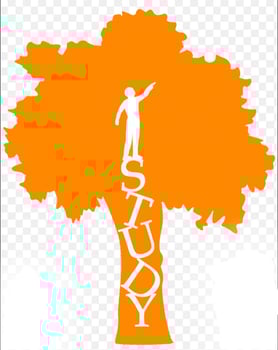Soutien scolaire individuel et private tutoring professionnel