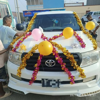 Toyota Land Cruiser V8 Diesel - Puissant et Confortable