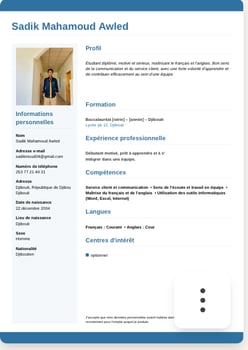 Étudiant diplômé en communication et service client - Disponible pour emploi - Djibouti