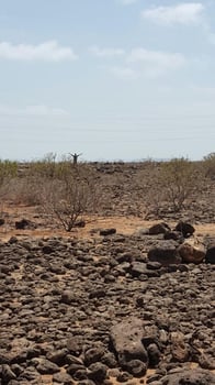 Terrain de 3 000m² à louer à PK18 avec titre foncier