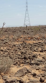 Terrain de 3 000m² à louer à PK18 avec titre foncier