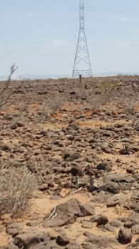 Terrain de 3 000m² à louer à PK18 avec titre foncier