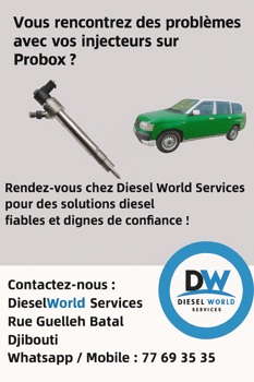 Réparation injecteurs Probox chez Diesel World Services