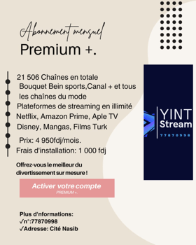Bouquet VIP Yinti Stream - Plus de 21 900 chaînes, Sport, Cinéma et plus encore