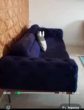 Salon confortable avec table à manger en miroir extensible