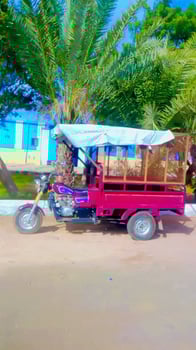 Bajaj Cargo Megawheels en excellent état