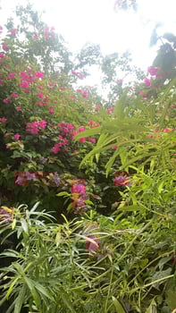 Cours d\'anglais et français à domicile pour débutants et adolescents