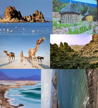 Guide Touristique Djiboutien - Découvrez les trésors de Djibouti avec un guide local passionné