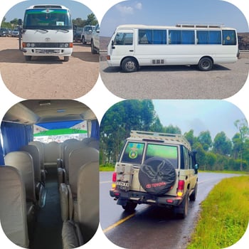 Location de Hardtop et bus climatisés pour voyager à Ditilou, Randa Day, Tadjourah, Obock, Ali Sabieh, Arta, le lac Abbe et le lac Assal