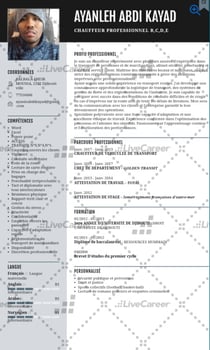 Chauffeur expérimenté avec permis C, D et E