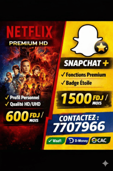 Abonnement Premium Netflix - Offre spéciale !