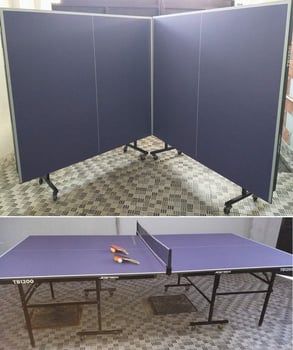 Table de ping-pong TB1200 en excellent état