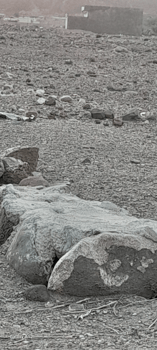 Terrain stratégique à vendre près du stade Ali Sabieh