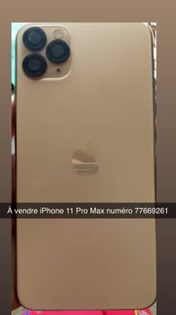 iPhone 11 Pro Max 512 Go, état impeccable, prix négociable