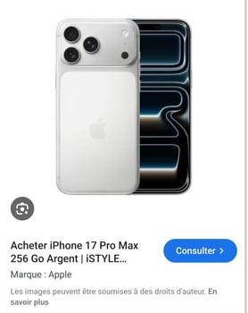 iPhone 17 Pro Max Gris 256G - Comme Neuf