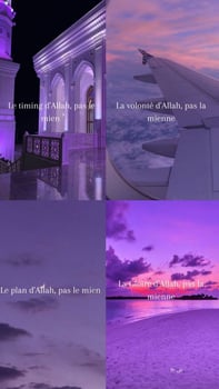 Profil Multidisciplinaire avec Licence en Stratégie et Gestion des Entreprises