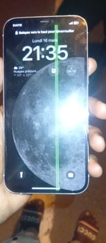 iPhone 12 Pro Max - Urgence de vente