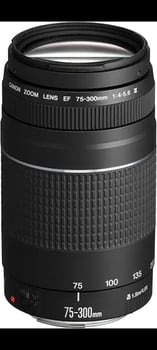 Objectif Canon EF 75-300 mm f/4-5.6 III à prix négociable