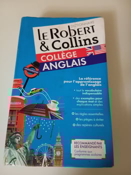 Dictionnaire anglais pour enfants - Efficace et à petit prix