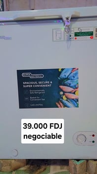 Réfrigérateur 100L en vente - Bon état