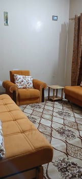 Canapé avec rideaux et tapis en bon état