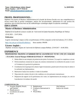 Diplômé MBA multilingue expert en gestion stratégique et logistique