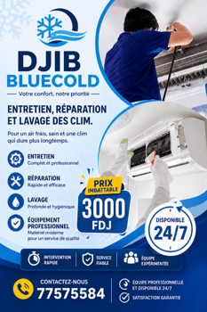 Entretien et réparation professionnels de climatiseurs DJIB BLUECOLD