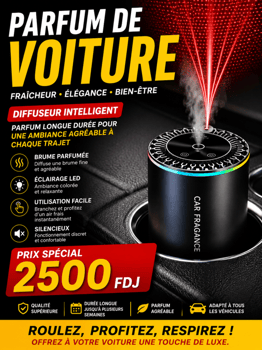 Diffuseur de parfum de voiture avec LED et recharge USB