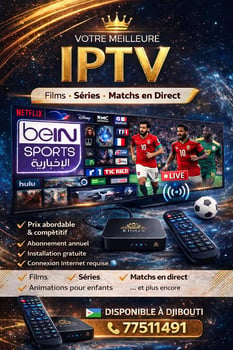 Un décodeur spécial pour la coupe du monde