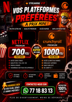 Abonnements Netflix et Crunchyroll disponibles