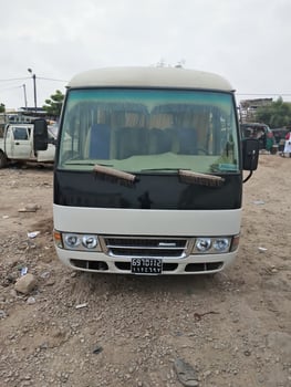 2 bus Mitsubishi rosa 2018