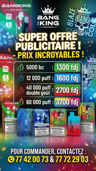 E-cigarettes avec plusieurs saveurs et différentes capacités de puff