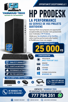 HP ProDesk Pentium Gold, 4 Go RAM, 1 To HDD avec accessoires