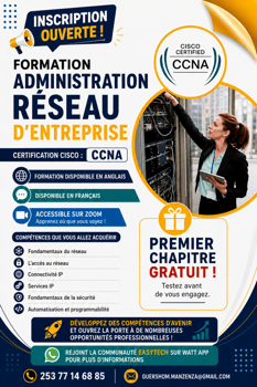 Formation réseaux informatiques pour débutants et professionnels