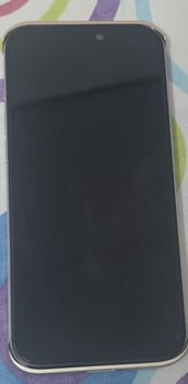iPhone 16 Pro Max 256 Go batterie 100%