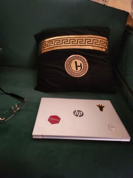 HP 256go