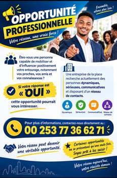 Offre d\'emploi pour personnes dynamiques avec réseau professionnel