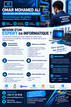 Technicien informatique réseau et maintenance.