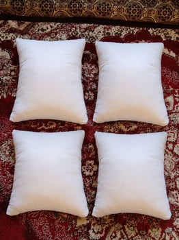 4 oreillets neufs pour Qaci
