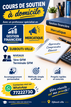 Cours de soutien en gestion financière et mercatique à domicile