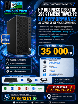 HP Business Desktop 290 G1 Micro Tower i5 8e Gen d’occasion