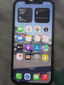 iPhone 12 Pro Max 128 Go en bon état général