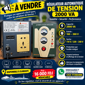 Régulateur Automatique de Tension 2000 VA avec Protection Intégrée