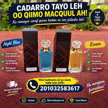 Parfums de qualité aux senteurs irrésistibles et prix abordables