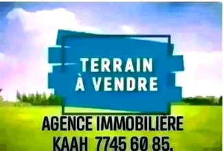 Terrain à vendre sis Haramous Sud, 310m², prix compétitif