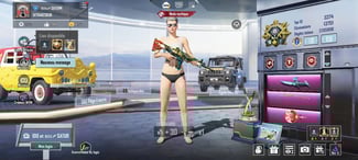 Compte PUBG lvl 76 avec équipement rare et élite