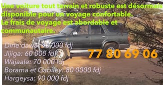 Voiture tout-terrain pour un voyage confortable à petit prix!