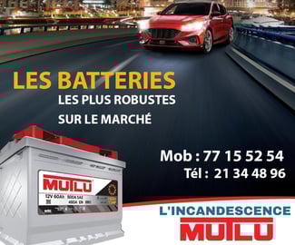 Batteries MUTLU – Haute performance pour tous véhicules